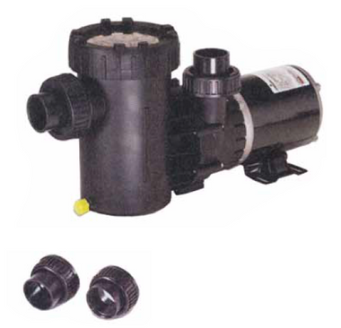 SPECK MODEL | SINGLE SPEED PUMPS - 3 FT. NEMA CORD - NO SWITCH | 2071133435 Questions & Answers