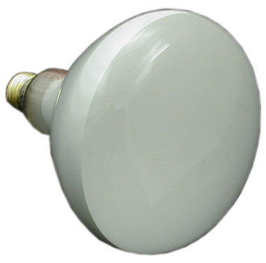 HAYWARD ASTROLITE | BULB, FLOOD 120V 500W | SPX504Z7 Questions & Answers